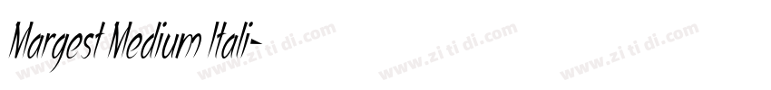 Margest Medium Itali字体转换